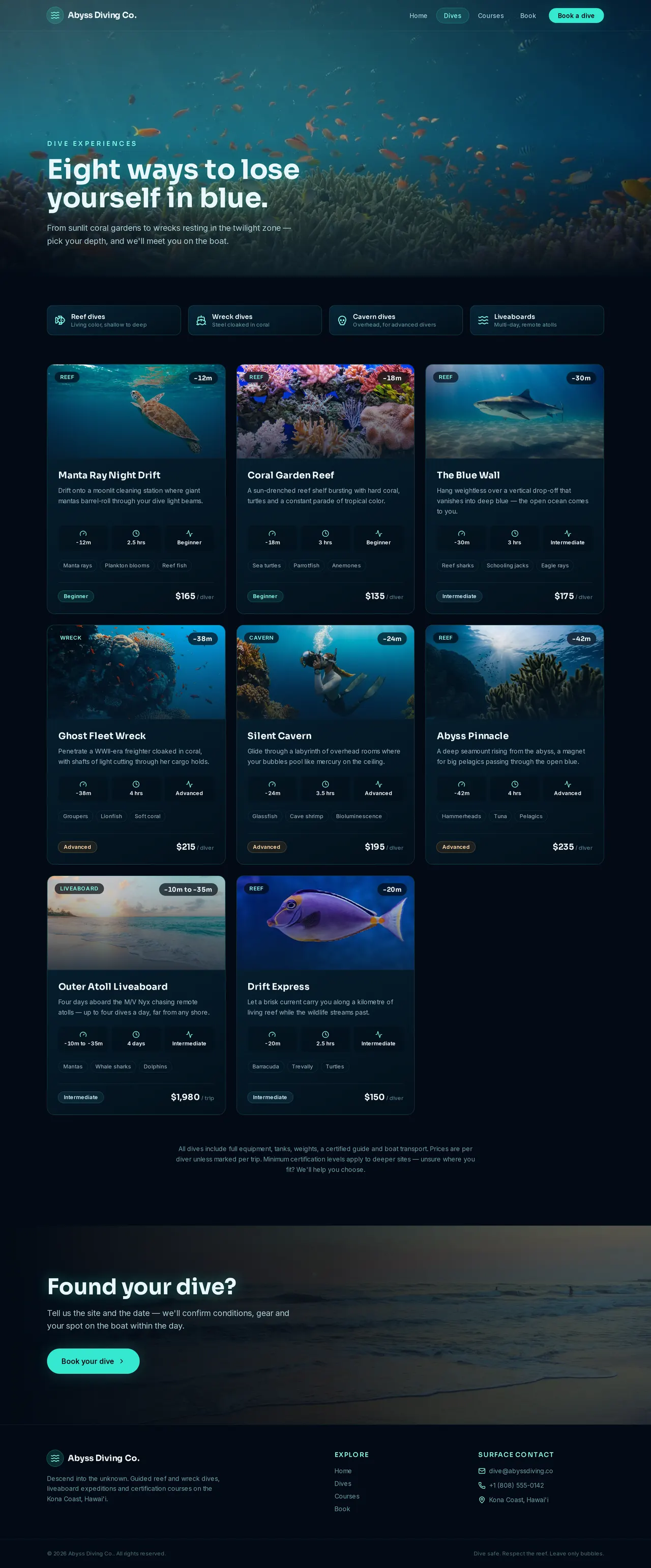 Abyss Diving Co. — Dives