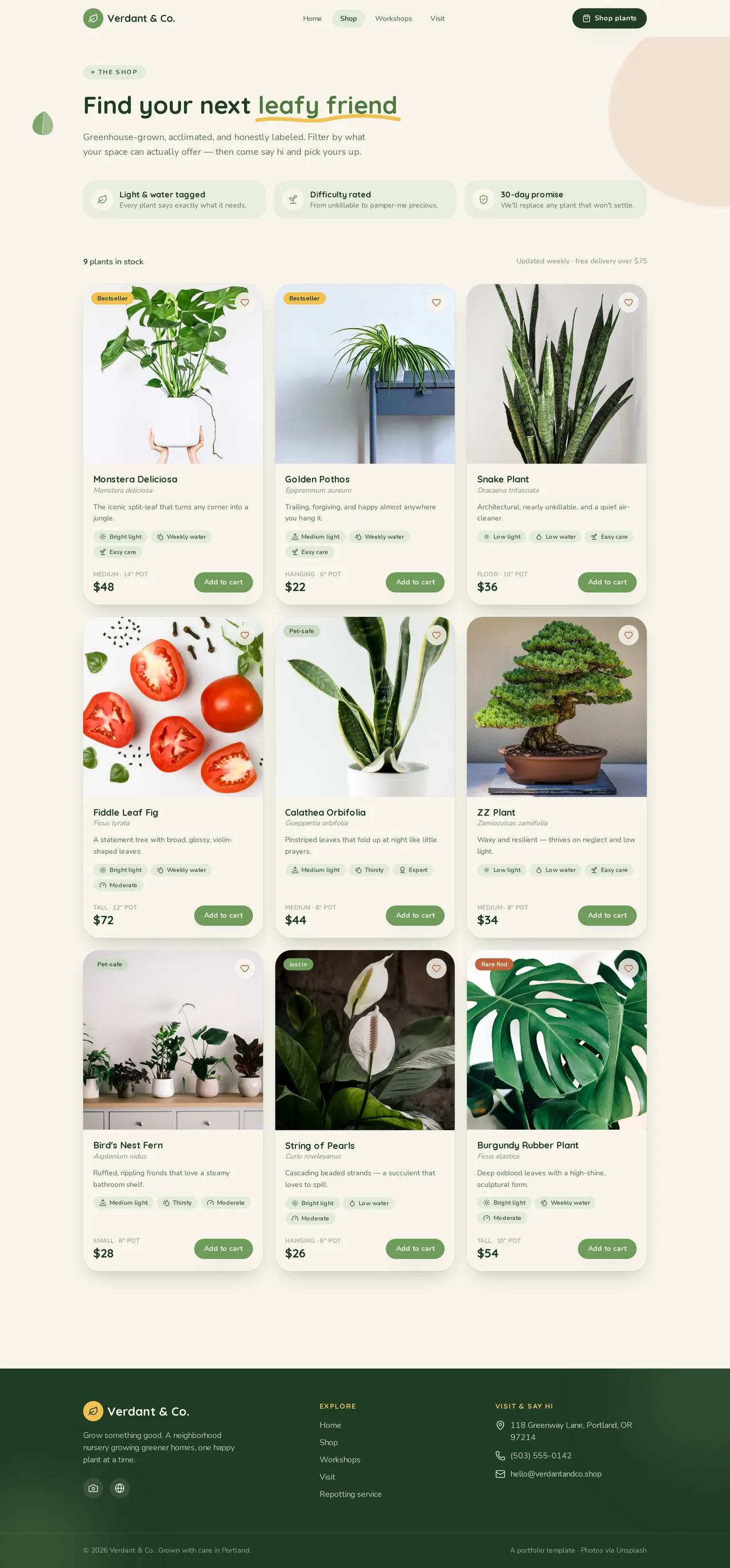 Verdant & Co. — Shop